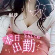 ヒメ日記 2025/04/15 12:07 投稿 里沙（りさ） NOA（ノア）