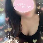 ヒメ日記 2025/05/28 17:37 投稿 里沙（りさ） NOA（ノア）