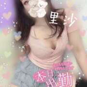 ヒメ日記 2025/06/11 15:04 投稿 里沙（りさ） NOA（ノア）