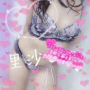 ヒメ日記 2025/06/14 17:52 投稿 里沙（りさ） NOA（ノア）