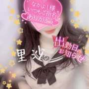 ヒメ日記 2025/07/14 14:15 投稿 里沙（りさ） NOA（ノア）