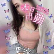 ヒメ日記 2025/08/25 08:32 投稿 里沙（りさ） NOA（ノア）