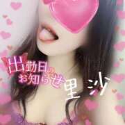 ヒメ日記 2025/08/31 08:04 投稿 里沙（りさ） NOA（ノア）