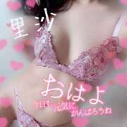 ヒメ日記 2025/09/30 12:04 投稿 里沙（りさ） NOA（ノア）