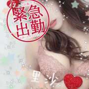 ヒメ日記 2025/11/22 14:00 投稿 里沙（りさ） NOA（ノア）