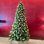 里沙（りさ） 冬のきらめき…❄️💫 NOA（ノア）