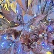 ヒメ日記 2026/02/02 09:52 投稿 里沙（りさ） NOA（ノア）