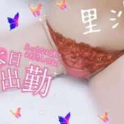 ヒメ日記 2026/02/03 11:55 投稿 里沙（りさ） NOA（ノア）