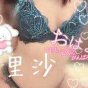 ヒメ日記 2026/02/24 08:54 投稿 里沙（りさ） NOA（ノア）