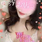 ヒメ日記 2026/03/08 16:04 投稿 里沙（りさ） NOA（ノア）