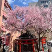 ヒメ日記 2026/04/06 12:21 投稿 里沙（りさ） NOA（ノア）