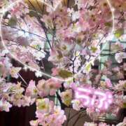 ヒメ日記 2026/04/08 09:49 投稿 里沙（りさ） NOA（ノア）