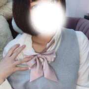 ヒメ日記 2025/04/24 11:42 投稿 ねこ Charme（シャルム）