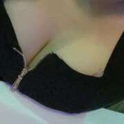 ヒメ日記 2025/08/25 16:22 投稿 ねこ Charme（シャルム）