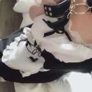 ヒメ日記 2025/08/26 14:42 投稿 ねこ Charme（シャルム）