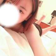 ヒメ日記 2025/09/29 15:01 投稿 ねこ Charme（シャルム）