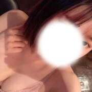 ヒメ日記 2025/10/23 14:12 投稿 ねこ Charme（シャルム）