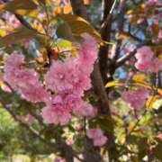 ヒメ日記 2025/04/16 23:24 投稿 羅夢音（らむね） ビッグバード