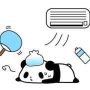 ヒメ日記 2025/08/08 09:24 投稿 羅夢音（らむね） ビッグバード