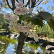 ヒメ日記 2026/03/01 12:24 投稿 羅夢音（らむね） ビッグバード