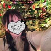 ヒメ日記 2026/06/02 12:28 投稿 羅夢音（らむね） ビッグバード