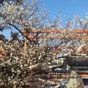 ヒメ日記 2026/03/06 10:14 投稿 村上美苗 五十路マダムエクスプレス船橋店(カサブランカグループ)