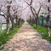 ヒメ日記 2026/03/26 13:20 投稿 村上美苗 五十路マダムエクスプレス船橋店(カサブランカグループ)