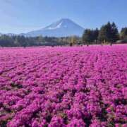 ヒメ日記 2026/04/26 11:18 投稿 村上美苗 五十路マダムエクスプレス船橋店(カサブランカグループ)