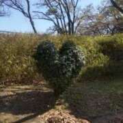 ヒメ日記 2026/04/27 13:14 投稿 村上美苗 五十路マダムエクスプレス船橋店(カサブランカグループ)