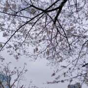 ヒメ日記 2025/05/17 10:41 投稿 もな エンジェルシリカ