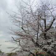 ヒメ日記 2025/05/25 10:49 投稿 もな エンジェルシリカ