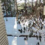 ヒメ日記 2025/05/27 09:32 投稿 もな エンジェルシリカ