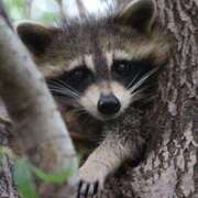 ヒメ日記 2025/06/03 10:35 投稿 もな エンジェルシリカ