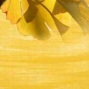 ヒメ日記 2025/06/08 14:52 投稿 もな エンジェルシリカ