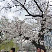 ヒメ日記 2025/06/20 18:22 投稿 もな エンジェルシリカ