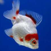 ヒメ日記 2025/06/24 11:28 投稿 もな エンジェルシリカ