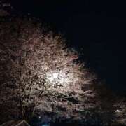 ヒメ日記 2025/08/08 09:55 投稿 もな エンジェルシリカ