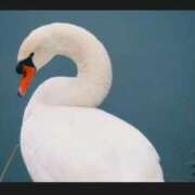 ヒメ日記 2025/08/25 15:50 投稿 もな エンジェルシリカ