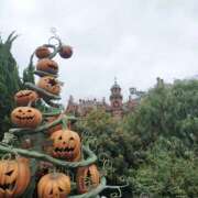 ヒメ日記 2025/10/12 13:01 投稿 もな エンジェルシリカ