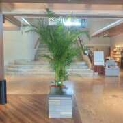 ヒメ日記 2025/11/29 13:01 投稿 もな エンジェルシリカ