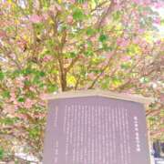 ヒメ日記 2025/12/02 09:34 投稿 もな エンジェルシリカ