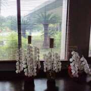 もな ※無題 エンジェルシリカ