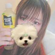 ヒメ日記 2025/04/02 13:06 投稿 美珠-みじゅ【FG系列】 ほんとうの人妻　柏店