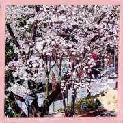 ヒメ日記 2025/04/11 17:02 投稿 わか 大久保おかあちゃんの乳クリ