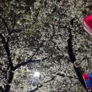 ヒメ日記 2025/04/09 20:15 投稿 ゆい One More奥様　蒲田店