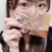 ヒメ日記 2025/03/28 20:19 投稿 ことり E+アイドルスクール池袋店