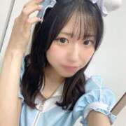 ヒメ日記 2025/08/07 12:26 投稿 ことり E+アイドルスクール池袋店