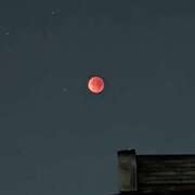 ヒメ日記 2025/09/08 05:55 投稿 りお 奥様なでしこ