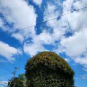 ヒメ日記 2025/10/12 12:13 投稿 りお 奥様なでしこ