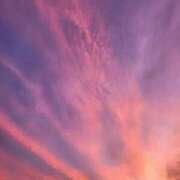 ヒメ日記 2025/10/12 17:51 投稿 りお 奥様なでしこ